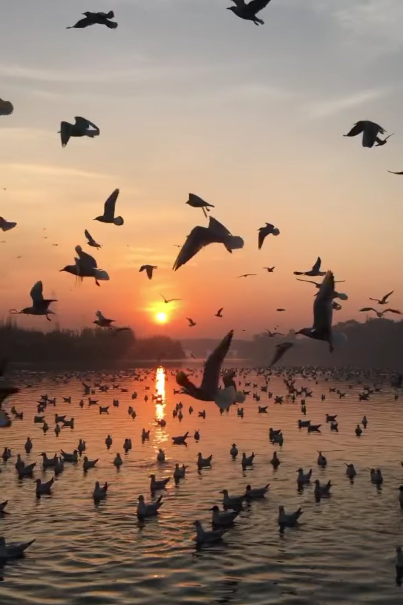 dinkyfalodia's tweet photo. ~*कौन क्यों गया ये जरूरी नहीं।क्या सीखा कर गया हैं ये जरूरी हैं।*~
#somewhereintheworld #Udaipur #Mumbai https://t.co/WrBOgYd3Js