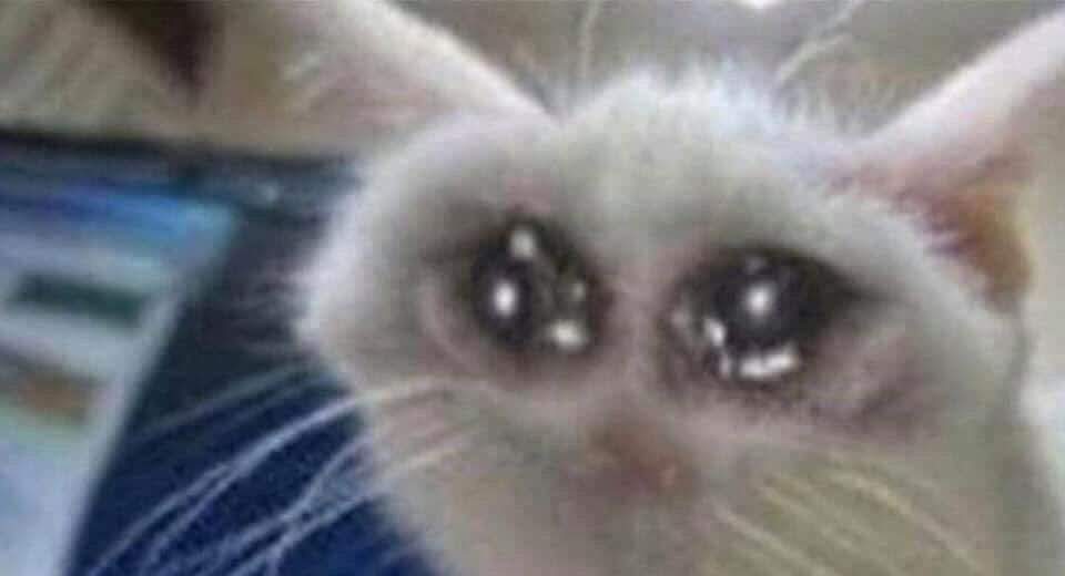 𝐏𝐀𝐍. / parody (@iabyrinthum) on Twitter photo 