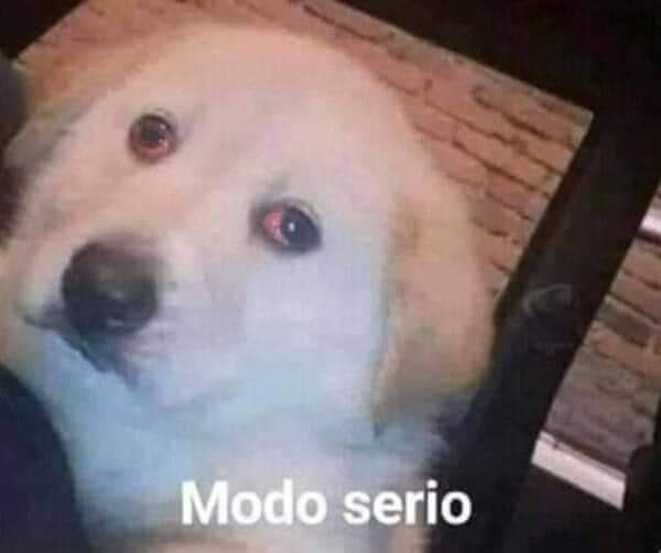 MaconheiroMemo's tweet photo. quando eu to muito loco e vejo que tô rindo demais https://t.co/MJI5iddKYX