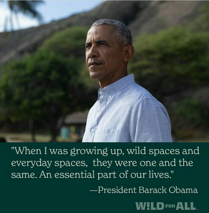 Our Great National Parks narrated by President <a href="/BarackObama/">Barack Obama</a> is on Netflix now. Gunung leuser National Park is captured beautifully in this series. I couldn't be more proud and happy to share it with everyone! #WildForAll #ayoketamannasional