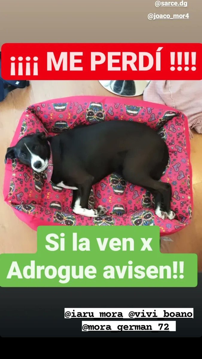 Joaco_Mora (@joaco_m19) on Twitter photo 