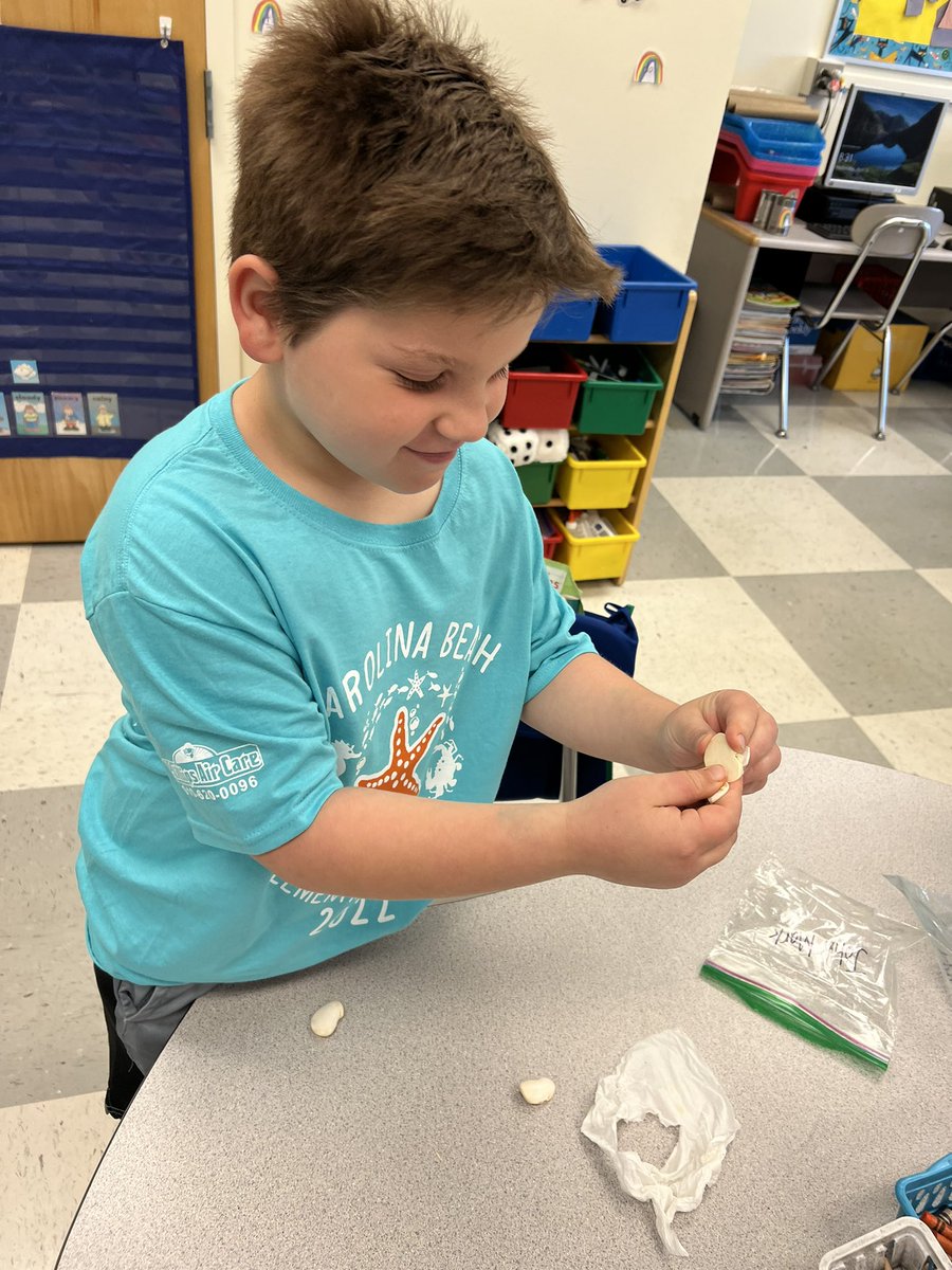 jmccroskeycb's tweet photo. Checking out our beans! @CBElementary #cbseastars https://t.co/omXCZEo0S5