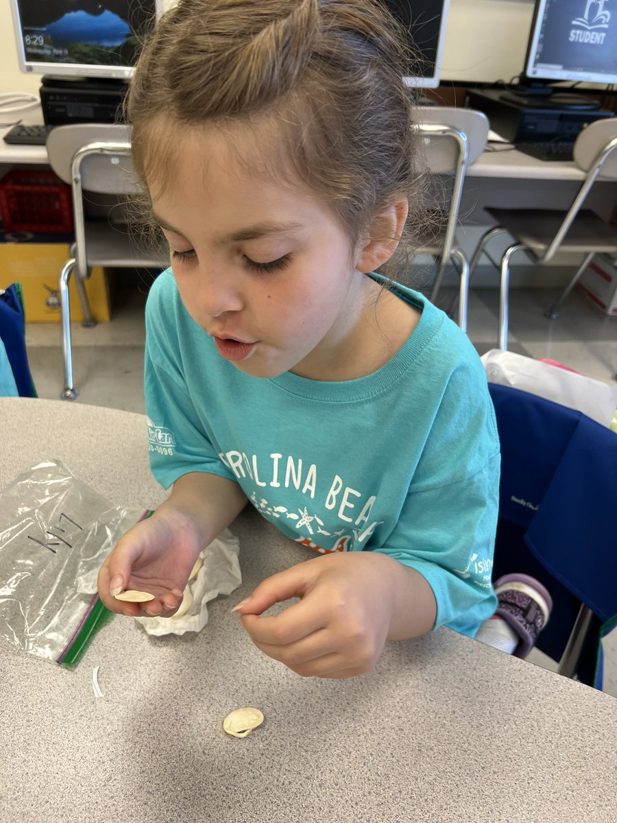 jmccroskeycb's tweet photo. Checking out our beans! @CBElementary #cbseastars https://t.co/omXCZEo0S5
