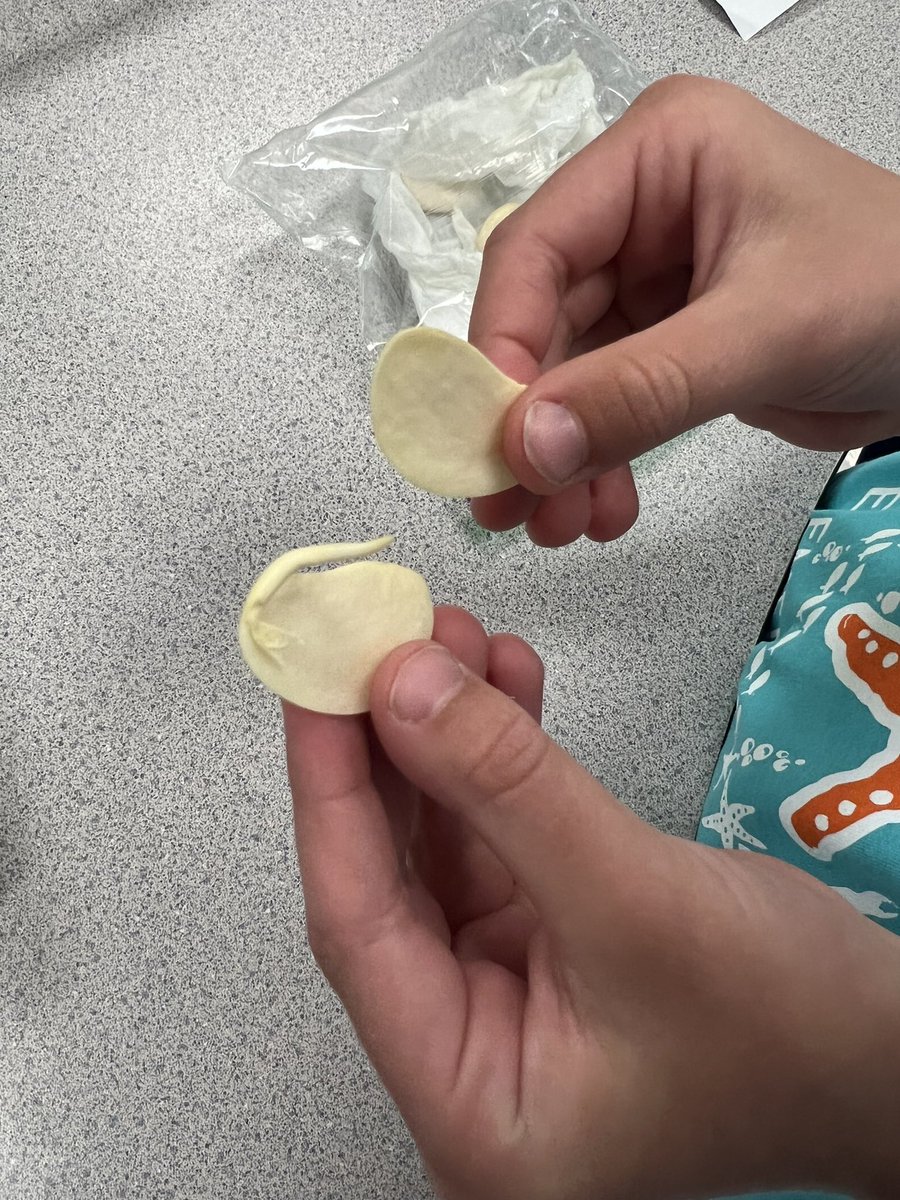 jmccroskeycb's tweet photo. Checking out our beans! @CBElementary #cbseastars https://t.co/omXCZEo0S5