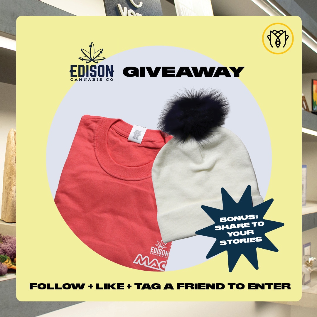 Shivaa's Rose tweet media