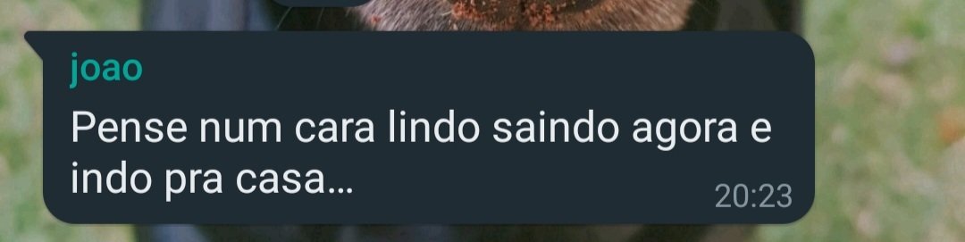 flevvers's tweet image. meu pai todo dia. literalmente.