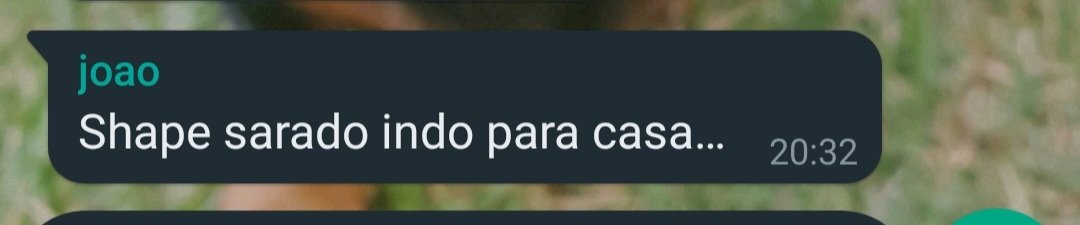 flevvers's tweet image. meu pai todo dia. literalmente.