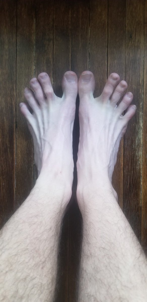 BigFootMaster23's tweet photo. https://t.co/M7J60VLQBG
