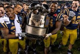 tj andrews tweet media