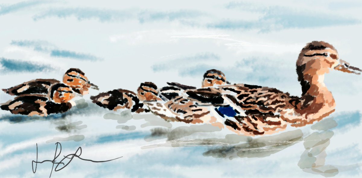 TwistedAardvark's tweet photo. Follow me, Little Ones. A Digital Doodle by Jeseca Dill.

DM for details if interested. 👩‍🎨😻

#thispickledlife #twistedaardvark #doodling #artwork #thispickledlife #art #design #inspiration #sketching #lettinggo #beingme #tonotgivingup #unapologeticallyme #newstart #spring #ducks https://t.co/ruHZHlpO91