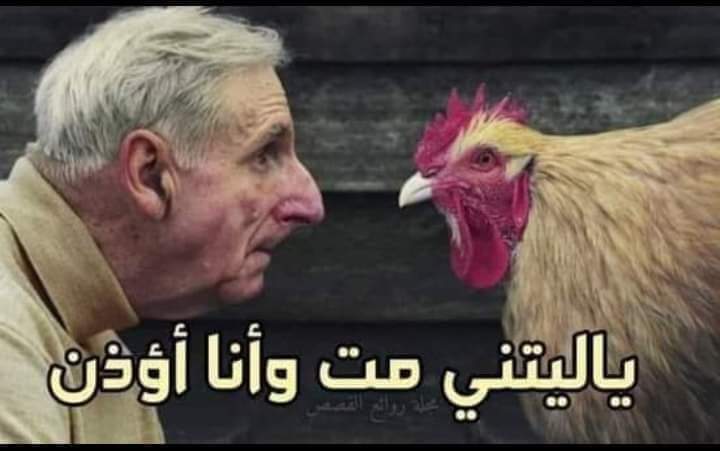 وبعد شهر قال صاحب الديك أيها الديك الآن إما أن تبيض كالدجاج 🐔 أو سأذبحك غداً !
عندها بكى الديك وقال ياليتني مت وأنا أؤذن ..... !!!!!
الخلاصة:
هكذا تكون سلسلة التنازلات عن المبادئ والقيم والأخلاق تبدأ بالتخويف حتى تصل إلى مرحلة العبودية .