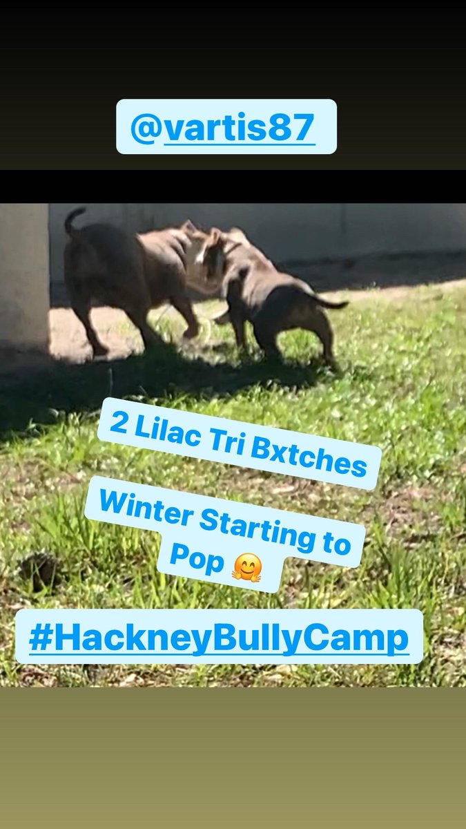 Bigree40's tweet photo. #HackneyBullyCamp π¦΄βπͺπΎ https://t.co/BMe9BGfX1P