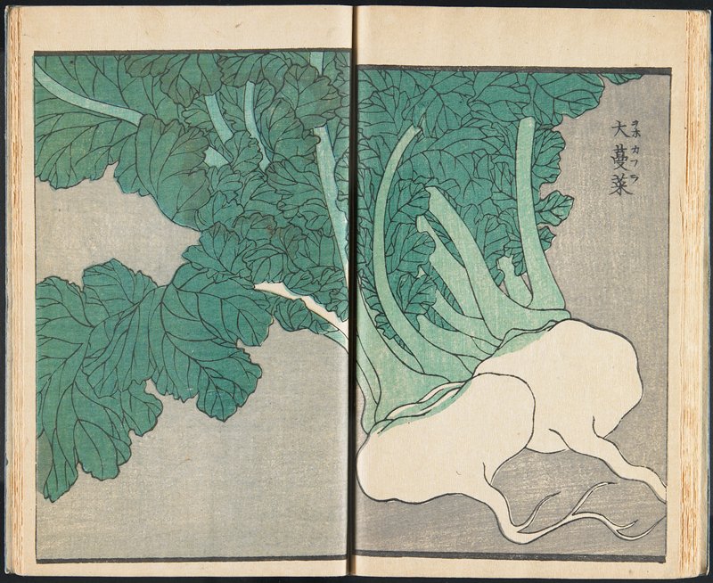 mia_japankorea's tweet image. Utagawa Sadahide, Pictured Phenomenon vol. 4, 1864 collections.artsmia.org/art/83564/ #utagawasadahide #artsmia