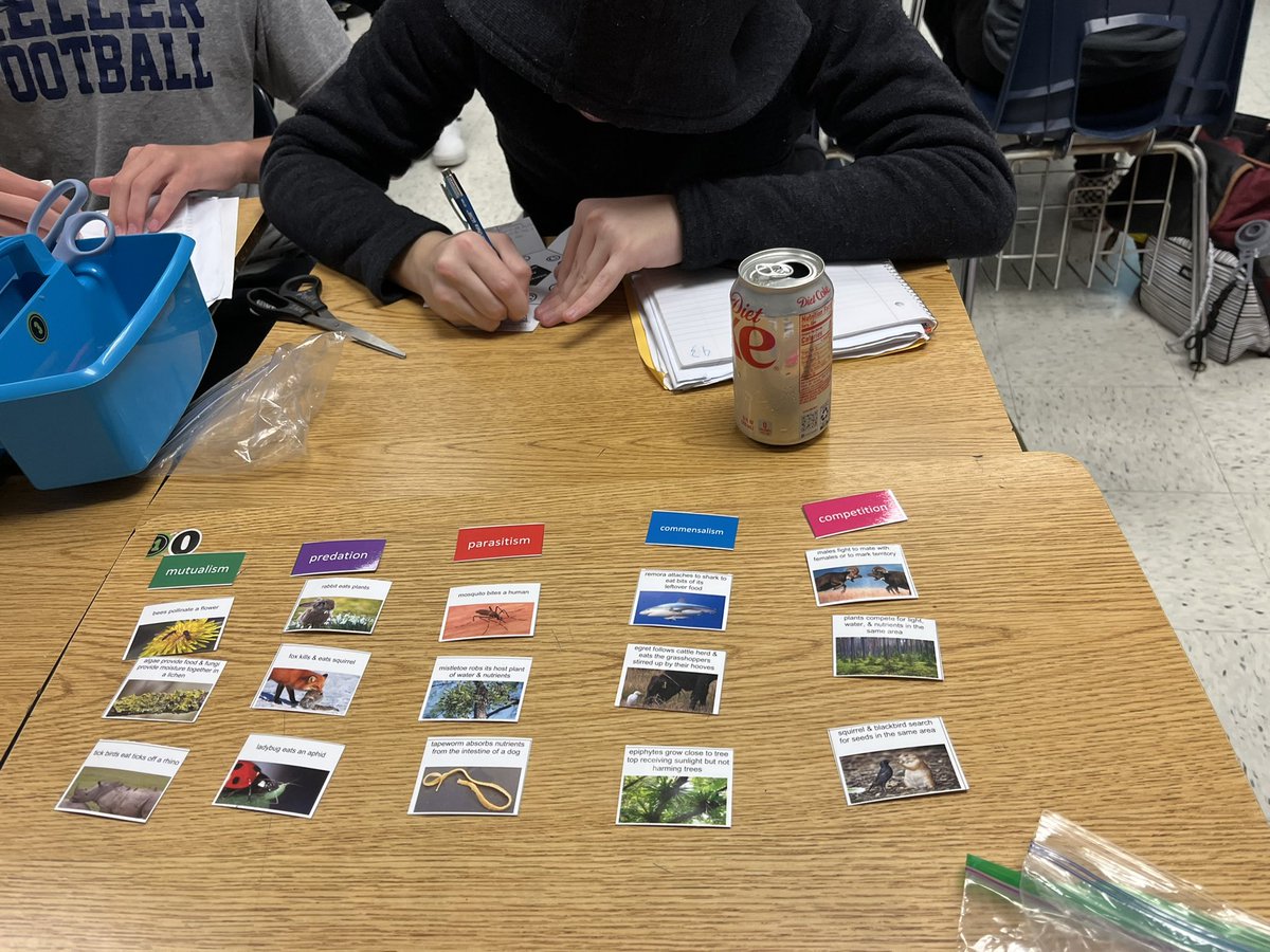 avilamd's tweet photo. Biology students having fun with Levels of Organization Cup Race, And card sort/foldable for Relationships between organisms! #ecology #KISDlabstar @KHSIndianNation @KISD_Science https://t.co/Js1PTY6GSD