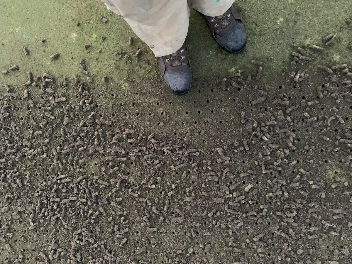 PCagronomy's tweet image. Spring aeration a huge success! Going to be a great 2022