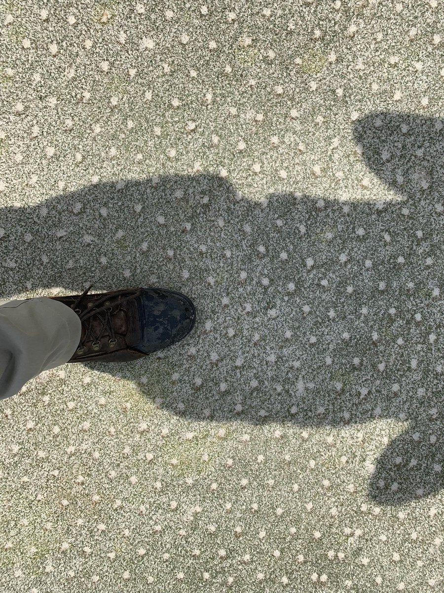 PCagronomy's tweet image. Spring aeration a huge success! Going to be a great 2022