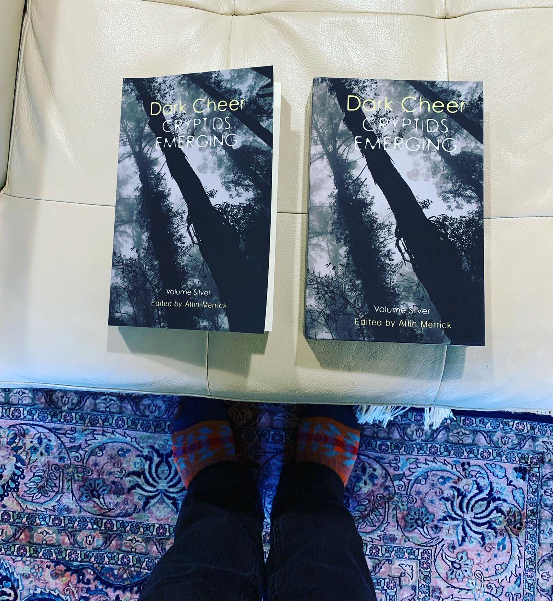 keyanbowes's tweet photo. Came home to this: Contributor copies! Thrilled to have my "Chicken Monster Motel" in this anthology. Impressed that #ImprobablePress gives a hardcover and a paperback copy. Love the TOC, can't wait to read! https://t.co/ZIXHXnq853