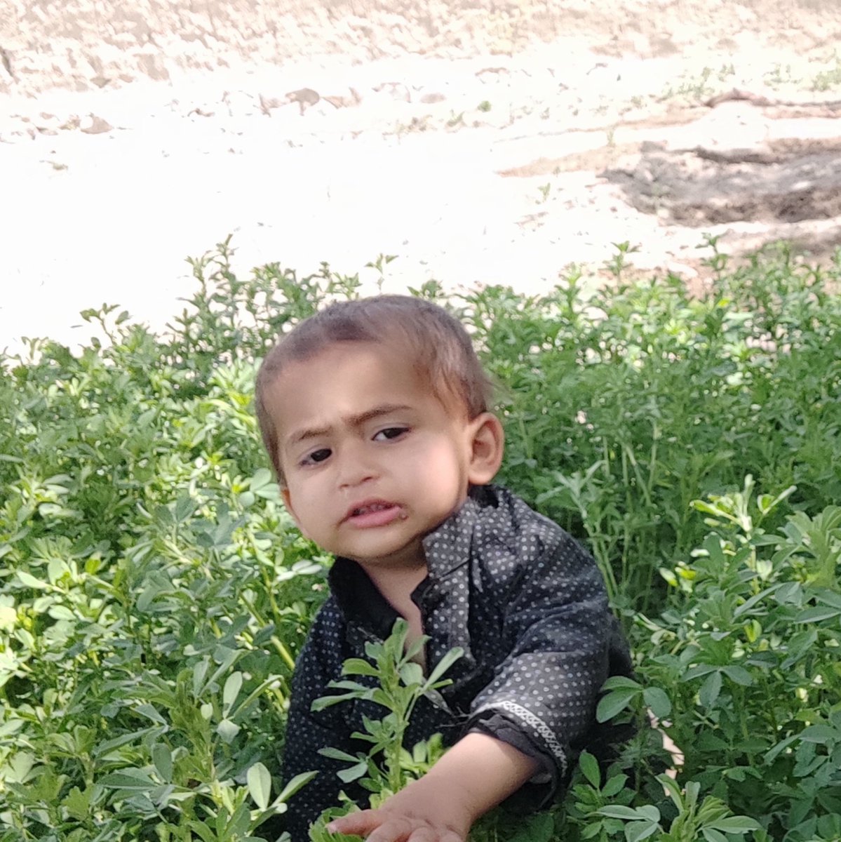 SayedMo90759570's tweet photo. #NewProfilePic https://t.co/JWokca4a9C