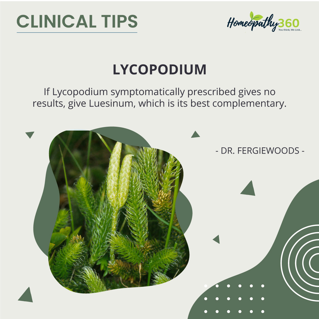 homeopathy360's tweet photo. Lycopodium: Clinical Tips by Dr. Fergiewoods
 If Lycopodium symptomatically prescribed gives no results, give Luesinum, which is its best complementary. 
[Dr. Fergiewoods]
Read More Clinical Tips: https://t.co/mHZcwYbY27
  #Lycopodium, #DrFergiewoods, #clinicaltips, #homeopathy, https://t.co/AUvE1xavJS