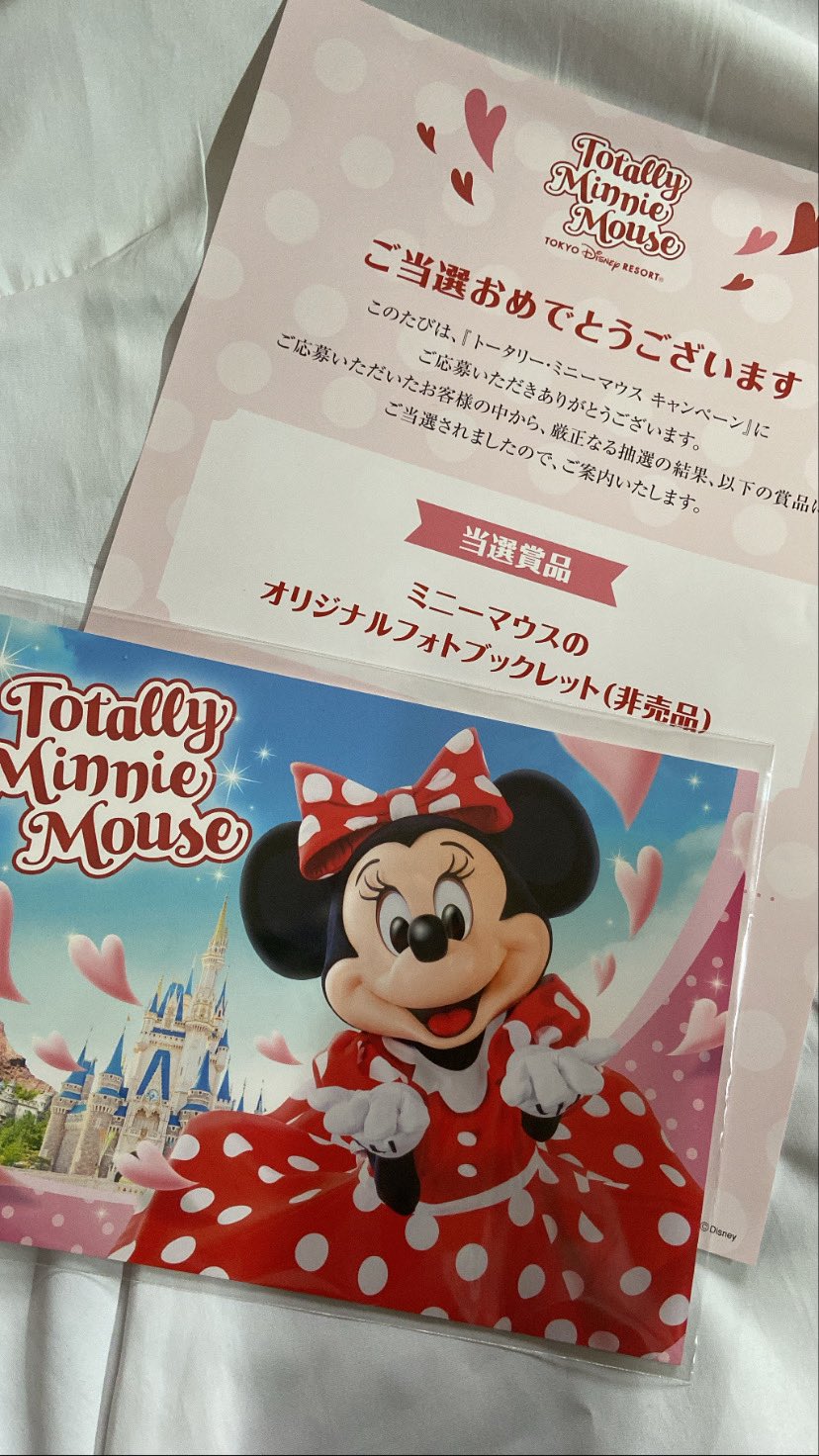 ディズニー ミニーマウスオリジナルフォトブックレット 非売品 | www