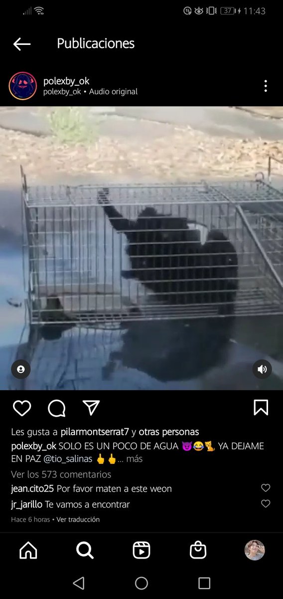 jk_js__'s tweet photo. ⚠️ MALTRATO ANIMAL ⚠️ 
Esta cuenta que maltrata animales, ha subido un vídeo donde t0rtur4 a un gato bebé con agua hirviendo. 
Ya había sido llevado a juicio, pero lo dejaron libre por ser menor de edad. 
+ RT https://t.co/Gfy3luNQ9g
