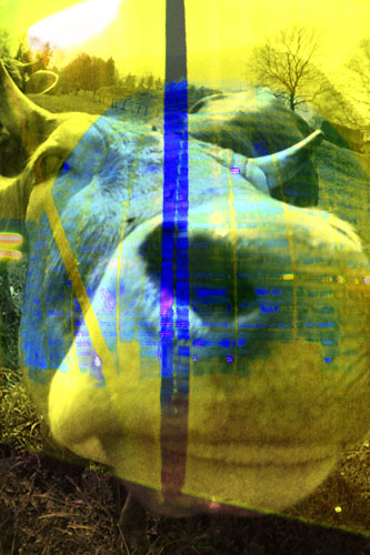 Digitalart Edith tweet media