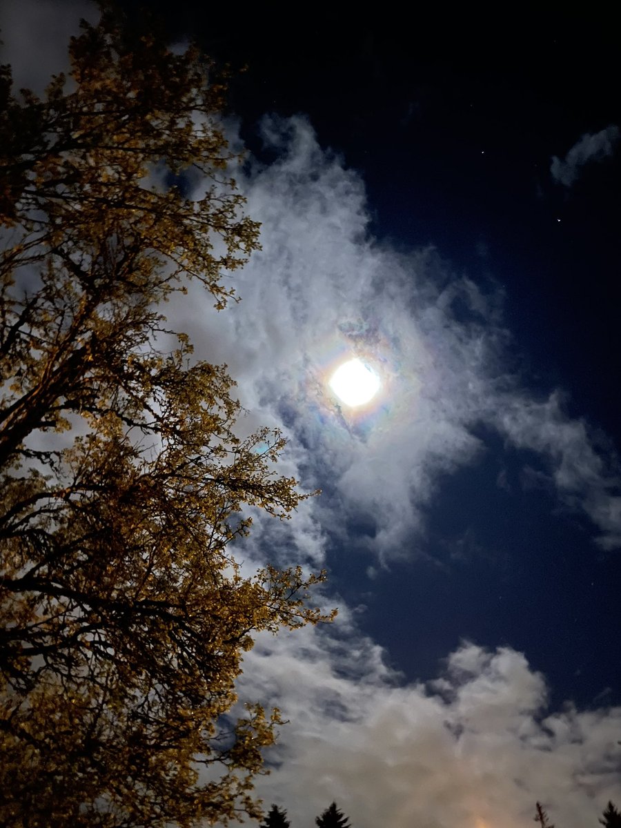 doclizz's tweet image. Good night.