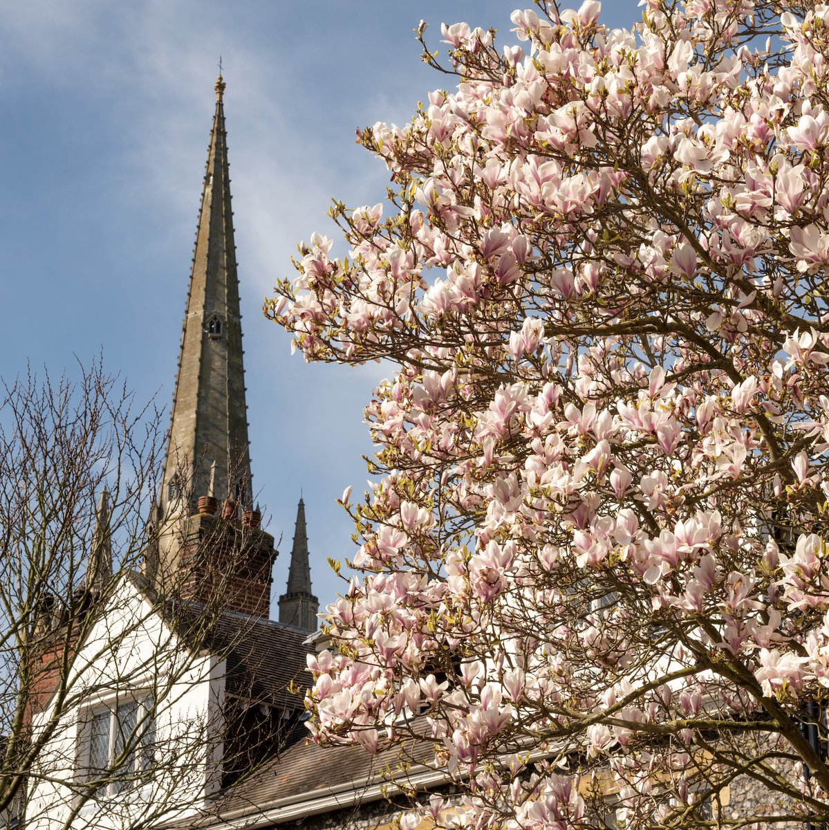 Nrw_Cathedral's tweet photo. Lent is #ATimeToReflect. So take a moment on the final day of #Lent
For more about our events and services
throughout Lent visit >> https://t.co/3lTpN8IXlU https://t.co/Gq29gtIA3w