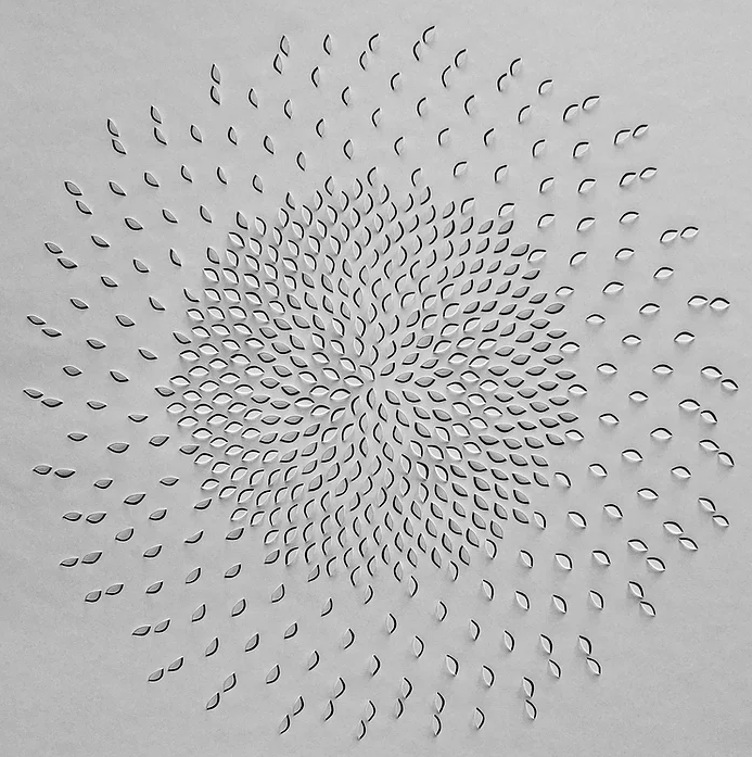 WomensArtForAll's tweet photo. Anna Maria #Bellmann #WomensArt #ArtByWomen #PaperArt •Zero• https://t.co/H2h2VpCbjN