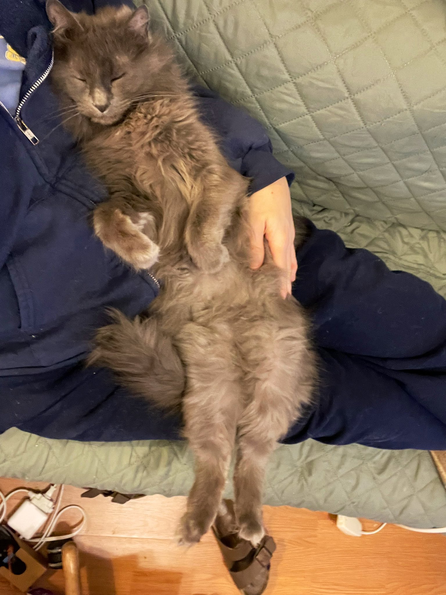 charters harrison on Twitter "BrittanyMeansIt ItsTheBrandi This is