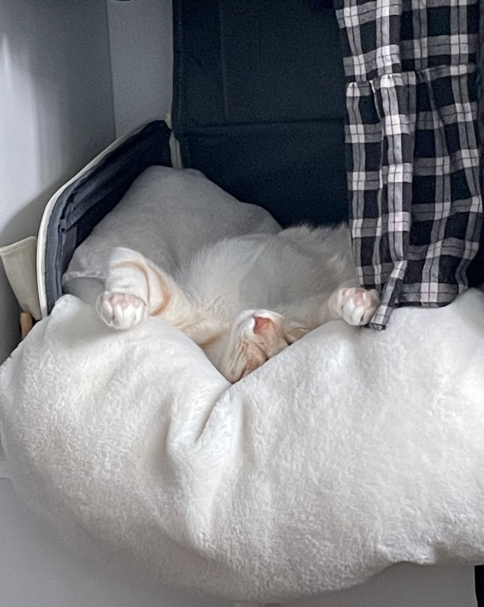 얜 무슨 사람처럼 자