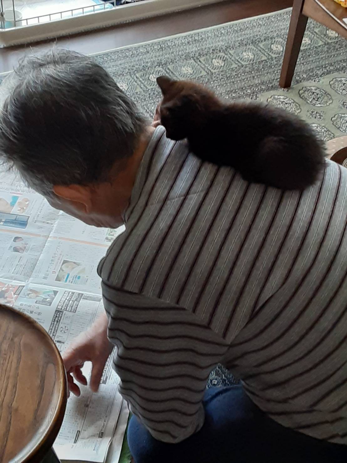 親父と猫 Twitter