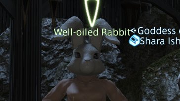 //EXCUSE M,E WHAT