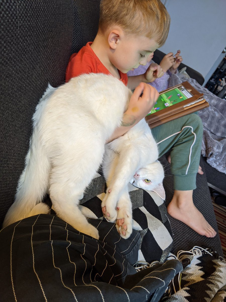 weirdlilguys's tweet photo. https://t.co/WWOfeoh2oH
