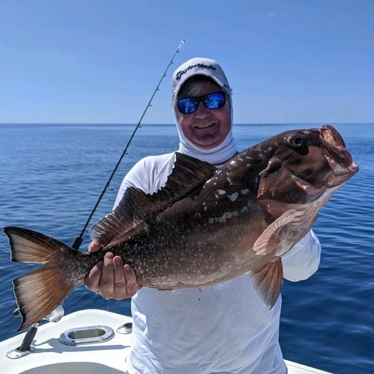 FishingOffshore's tweet photo. We catch all sorts of fish. Check out what types of fish we catch during certain months.  https://t.co/gBkio90XPE
#sarasota #sarasotafishing #floridafishing #sarasotafishingcharters https://t.co/hoK8gYP7MH
