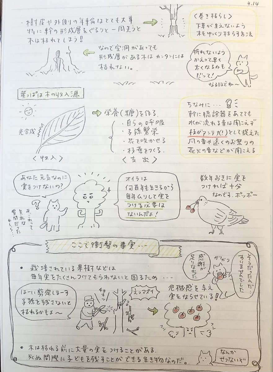 木の基本 その2

今日はレイアウトがイマイチだなー
イラストが多すぎたのとサイズのメリハリがないのが
原因かしら。 