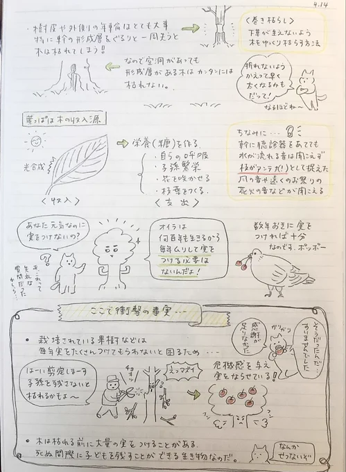 木の基本 その2

今日はレイアウトがイマイチだなー
イラストが多すぎたのとサイズのメリハリがないのが
原因かしら。 