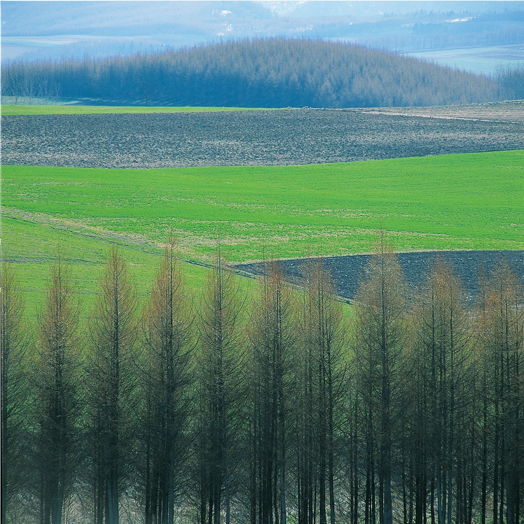 前田真三 額入り写真 拓真舘 トラクター 畑 大雪山系 美瑛町 北海道 前田真三写真集『大地の詩』 | 拓真館 TAKUSHINKAN
