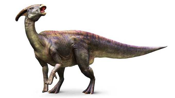 カモノハシのtwitterイラスト検索結果