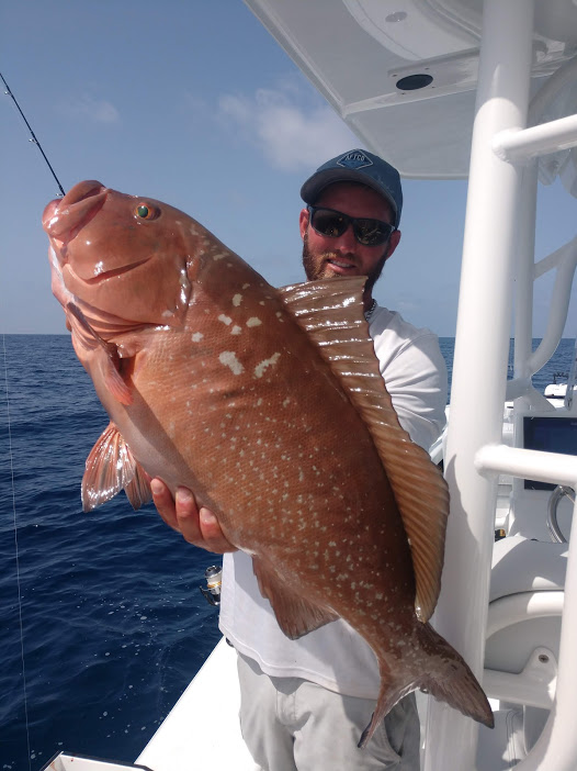FishingOffshore's tweet photo. Learn more about Captain Tyler. You are in good hands! 
https://t.co/LKsBqI4p7Q
#sarasota #sarasotafishing #fishingcharter #offshorefishing #saltlife https://t.co/HDJUo8i8Dp