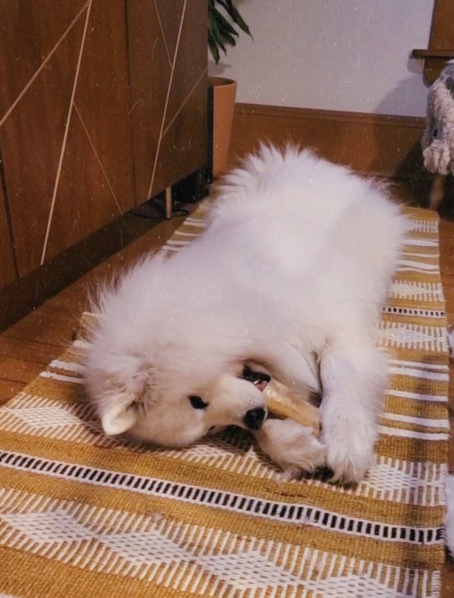 Meagan Simons tweet media