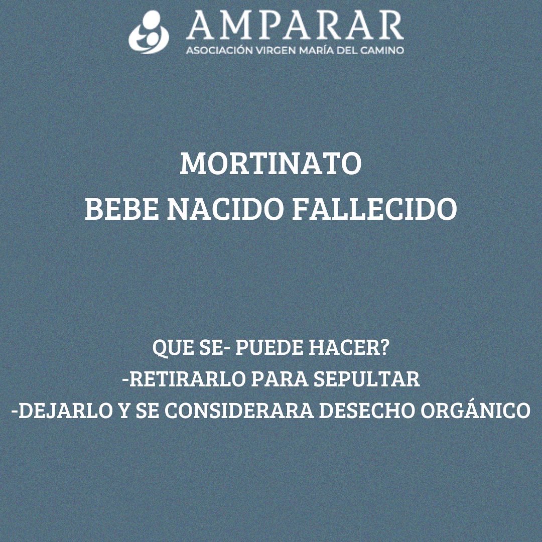 Fundación Amparar (@FundAmparar) / Posts / X