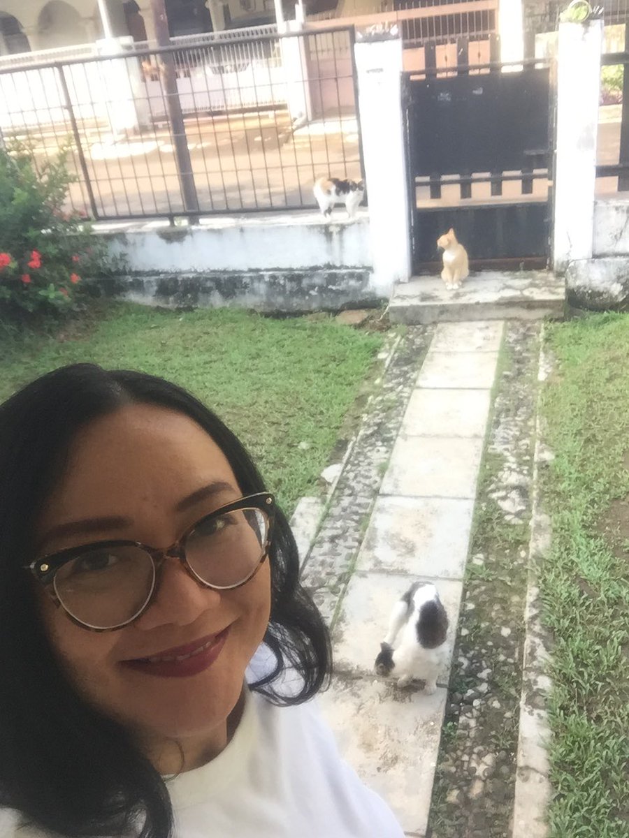 Marianne Venustasia tweet media