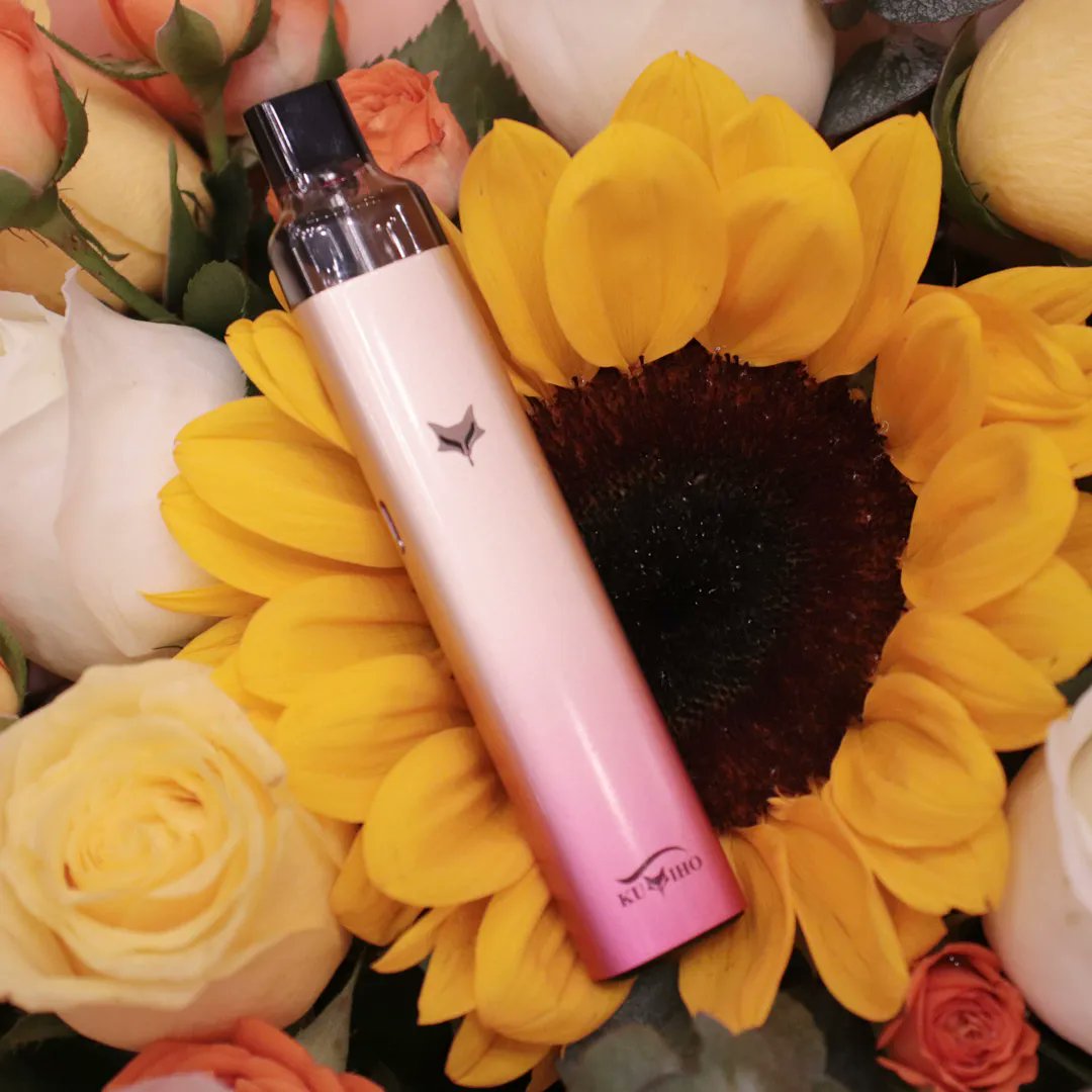 HealthCabin's tweet photo. ๐๐
๐How do you like this Kumiho Model V in Gold Pink?๐ค
๐บ15% OFF Sitewide with Coupon Code: HC13
โ๏ธBuilt-in 600mAh Battery
โ๏ธ2ml Pod Capacity
๐5 Colors - All Colors Available Now๐
Get Yours:๐
https://t.co/eVV77Xq5nW
#kumiho #modelvpod #kumihomodelvpod #kumihomodelv https://t.co/yIsoCJVt5h