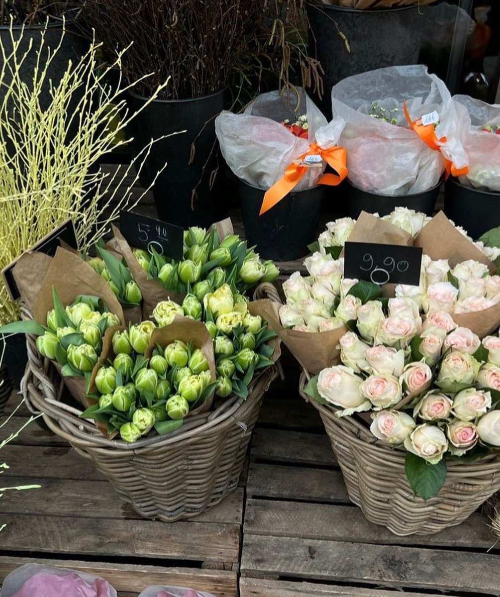 ADIF_eth's tweet image. Forget Twitter.😅😅