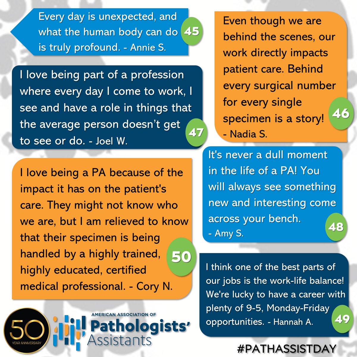 PathAssist's tweet image. #PathAssistDay is here! Thank you to all our members for ✨50✨ incredible years! We love sharing all of the reasons you love being PAs. YOU are the reason that we love advocating for our profession, and we hope to continue for another 50 years!
Happy Pathologists' Assistant Day!