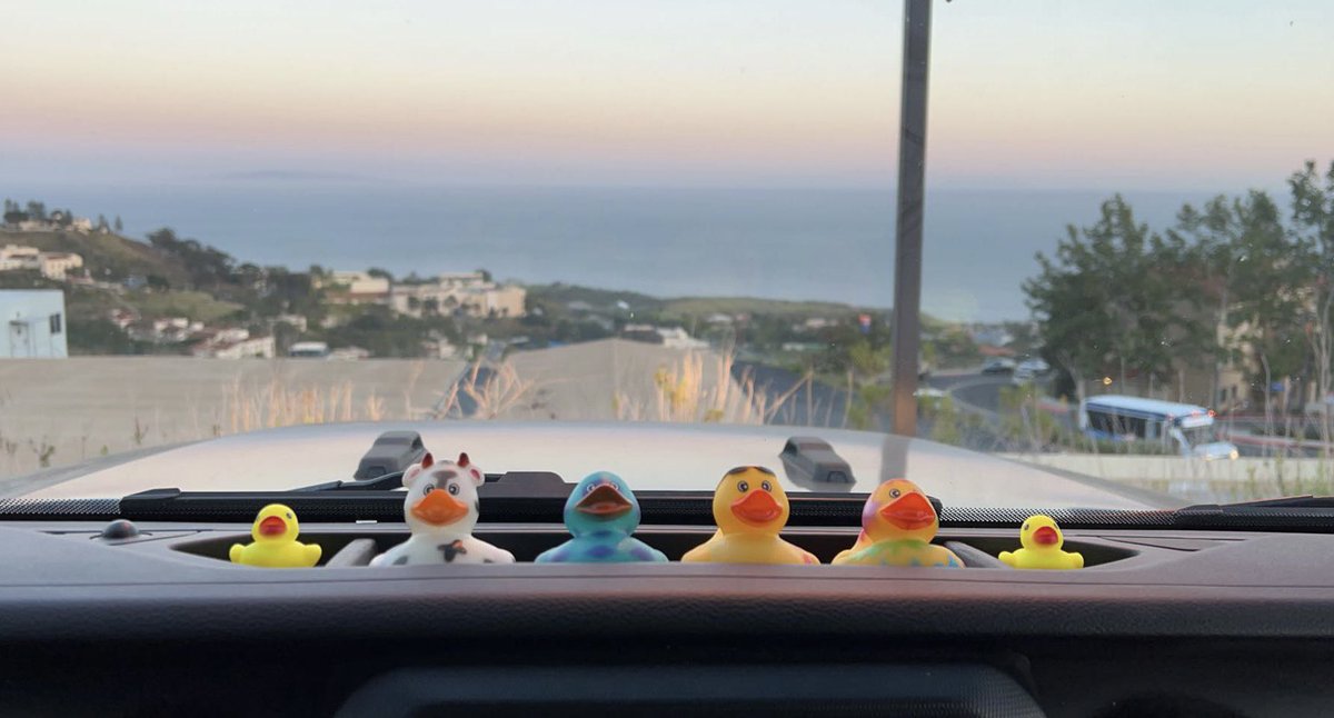 Liam Zieg tweet media