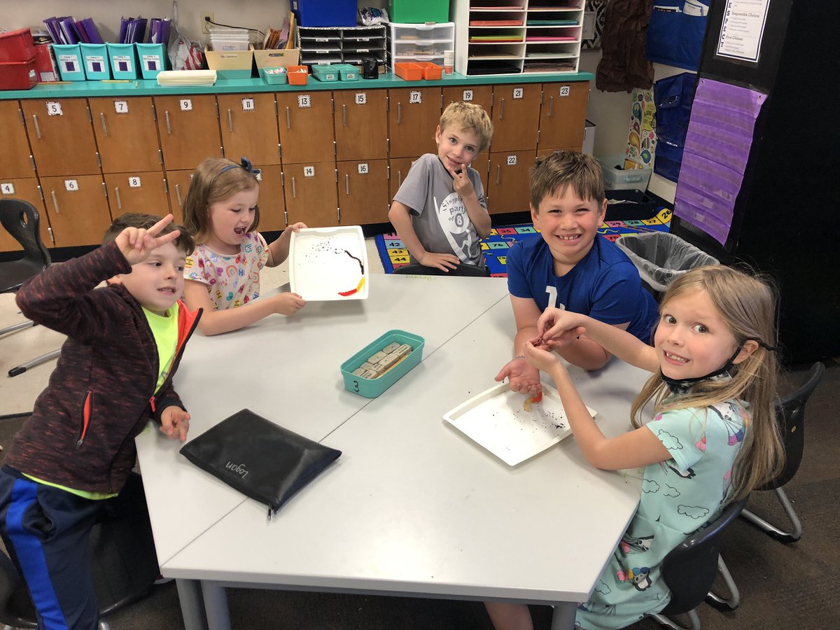Oswald_Firsties's tweet photo. We compared real worms to gummy worms to learn about the different between living and non living things today! https://t.co/pz7nMpNOt3