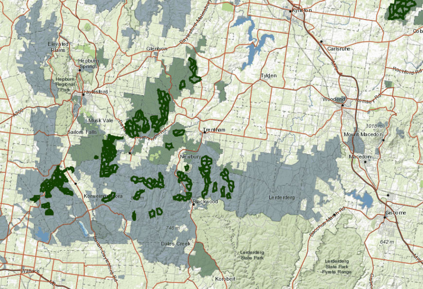 Ecoshouting's tweet photo. The green outlines on this map of #WombatForest are new logging coupes, including areas @DanielAndrewsMP announced as new National Park. This is what you get when @VictorianLabor tell you you're getting a National Park. 

@MaryAnneThomas 
#greenwash

Photo: damage done so far. https://t.co/6cNAVHysDD