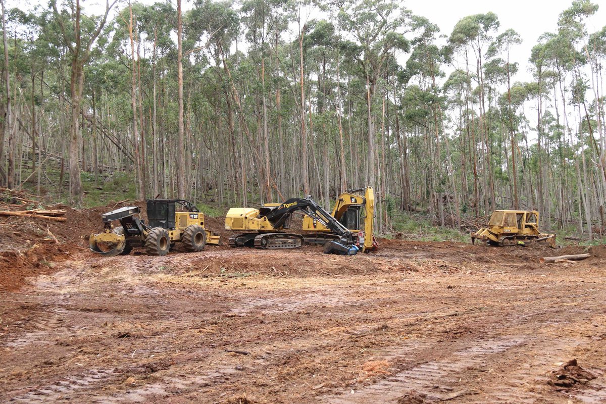 Ecoshouting's tweet photo. The green outlines on this map of #WombatForest are new logging coupes, including areas @DanielAndrewsMP announced as new National Park. This is what you get when @VictorianLabor tell you you're getting a National Park. 

@MaryAnneThomas 
#greenwash

Photo: damage done so far. https://t.co/6cNAVHysDD